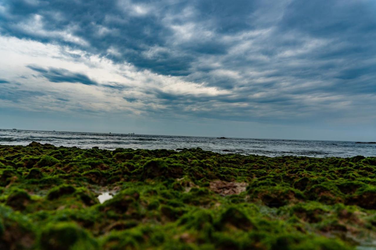 Vista Praia Beach Resort Andžuna Exteriér fotografie